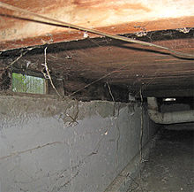 Crawl space supports