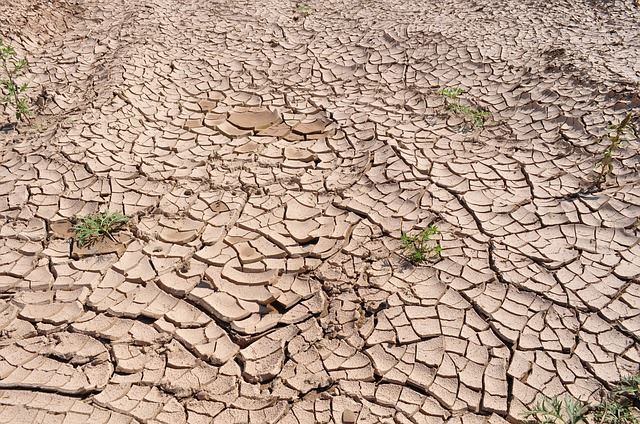 soil that has lost moisture, dried up and cracked 