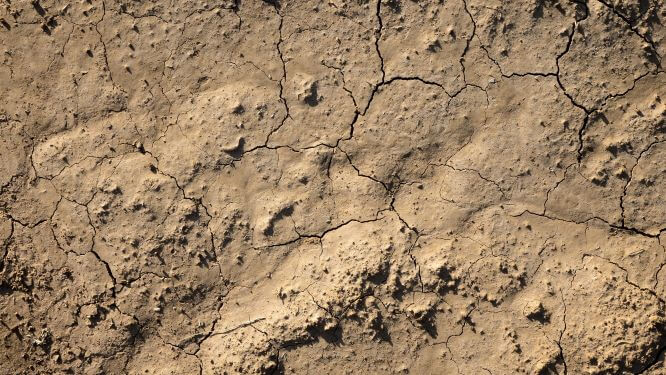 expansive clay soil 